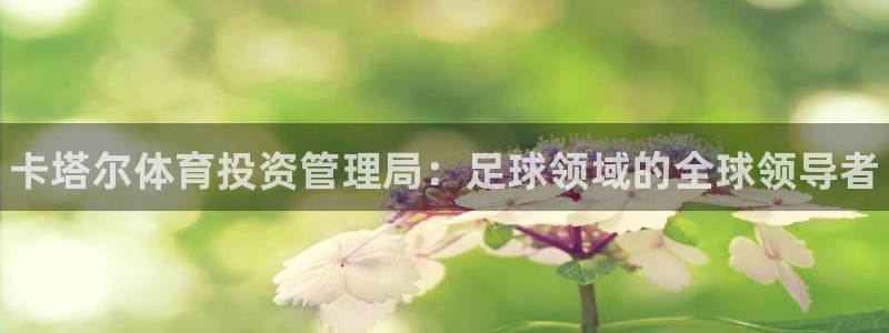 必一体育下载意思：卡