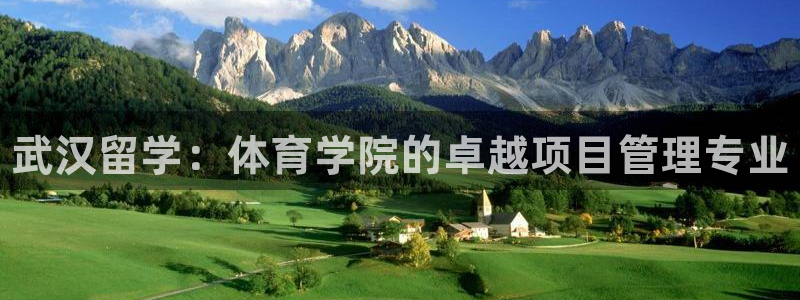 必一体育官网app：武汉留学：体育学院的卓越项目管理专业