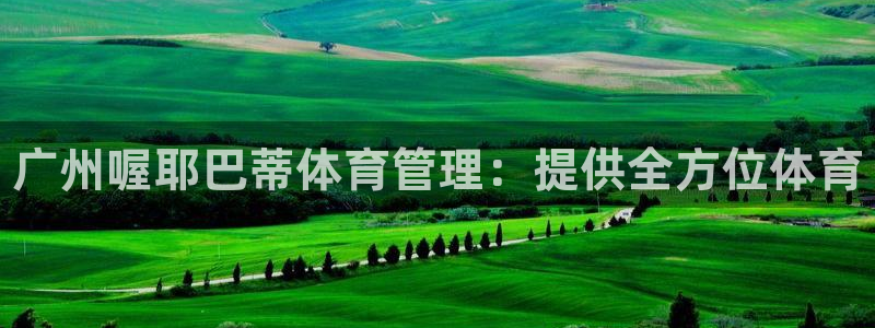 必一体育sport装