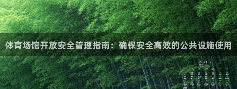 必一体育全站在线登录