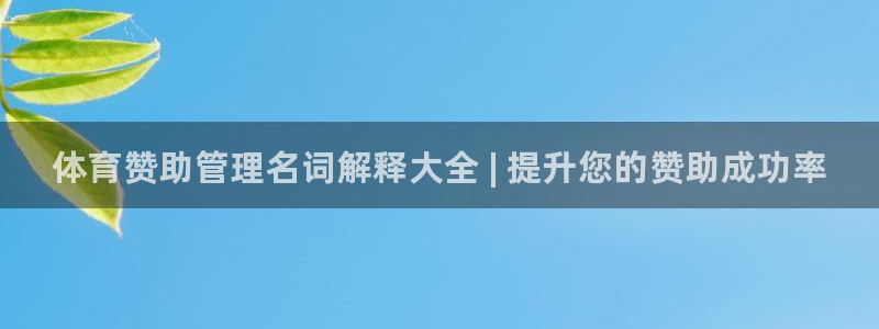 必一运动 b 体育素
