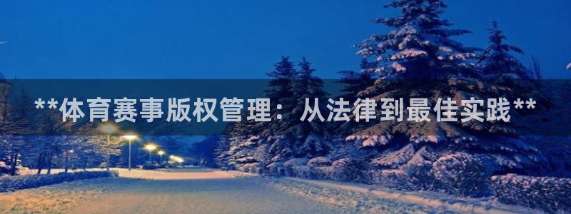 必一体育登录：**体育赛事版权管理：从法律到最佳实践**