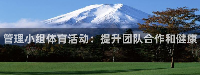 必一体育最新官网入口