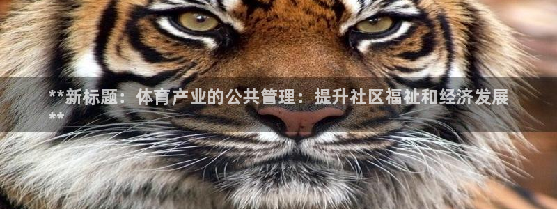 必一体育官方下载入口：**新标题：体育产业的公共管理：提升社